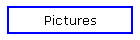 Pictures